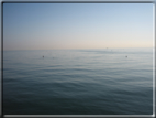 foto Alba sulla spiaggia di Riccione